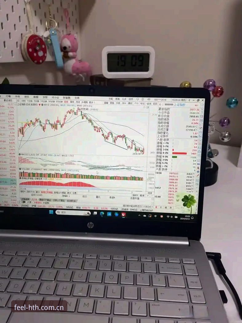 华体会历史走势评测真的是看盘必备吗？我盯着数据站测了三天三夜搞清楚了什么？