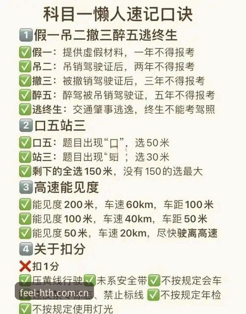 0.1公里/小时的超速vs60公里/小时的限速：摩纳哥维修区路线选择如何让多位F1车手吃罚单？